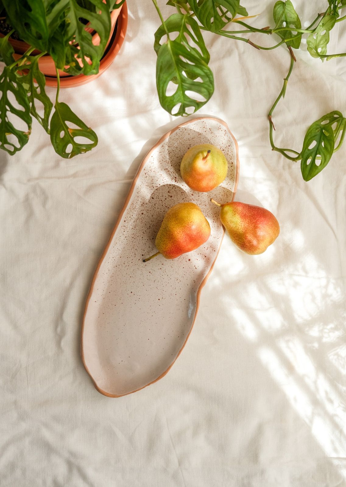 Nucleus Platter in White Matte * Brown Rims