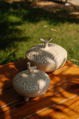 Tree Pot